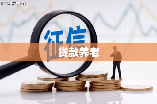 永宁贷款养老