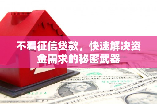 永宁不看征信贷款，快速解决资金需求的秘密武器