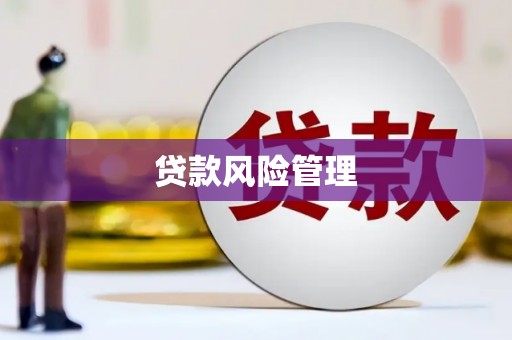 永宁贷款风险管理