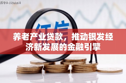 永宁养老产业贷款，推动银发经济新发展的金融引擎