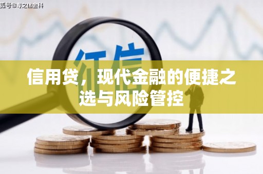 永宁信用贷，现代金融的便捷之选与风险管控