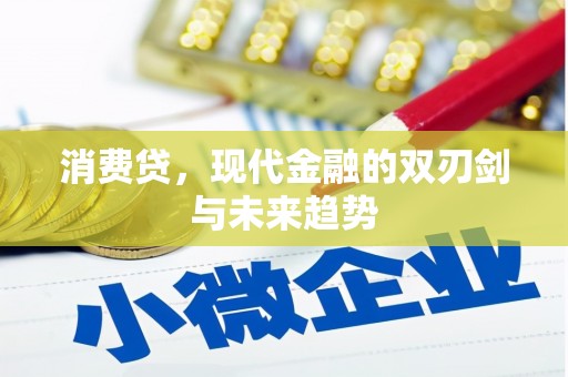 永宁消费贷，现代金融的双刃剑与未来趋势
