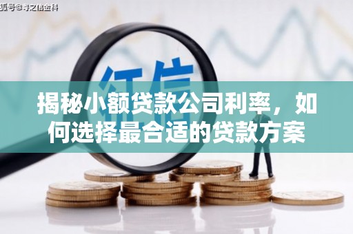 永宁揭秘小额贷款公司利率，如何选择最合适的贷款方案