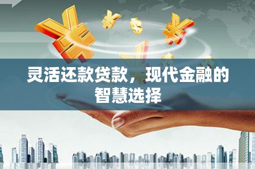永宁灵活还款贷款，现代金融的智慧选择