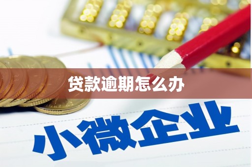 永宁贷款逾期怎么办