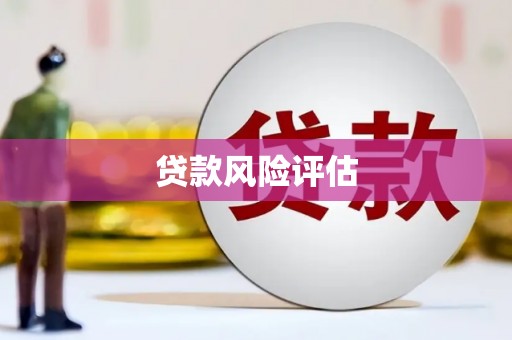 永宁贷款风险评估