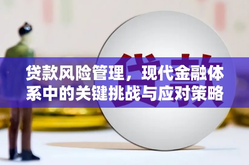 永宁贷款风险管理，现代金融体系中的关键挑战与应对策略