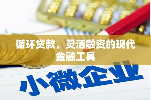 永宁循环贷款，灵活融资的现代金融工具
