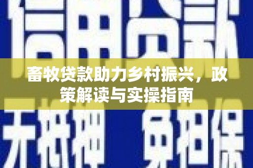 永宁畜牧贷款助力乡村振兴，政策解读与实操指南