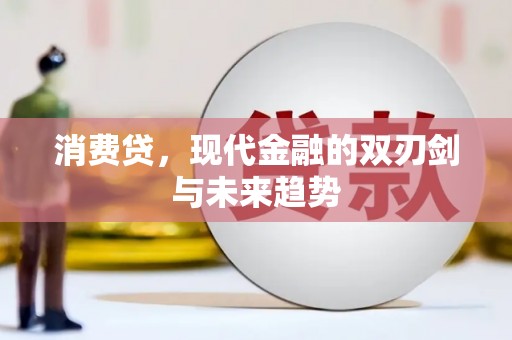 永宁消费贷，现代金融的双刃剑与未来趋势
