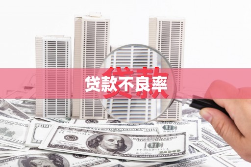 永宁贷款不良率