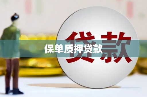 永宁保单质押贷款