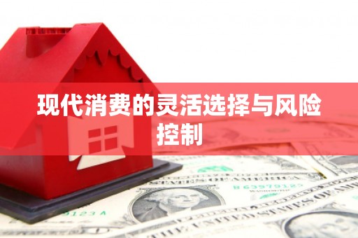 永宁现代消费的灵活选择与风险控制