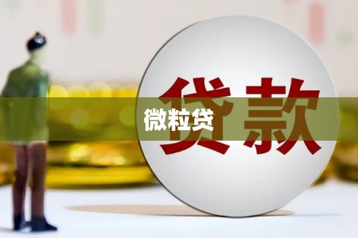 永宁微粒贷