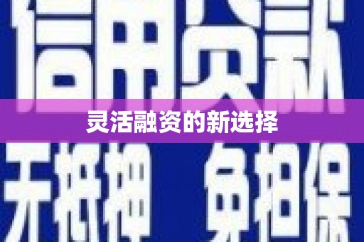 永宁灵活融资的新选择