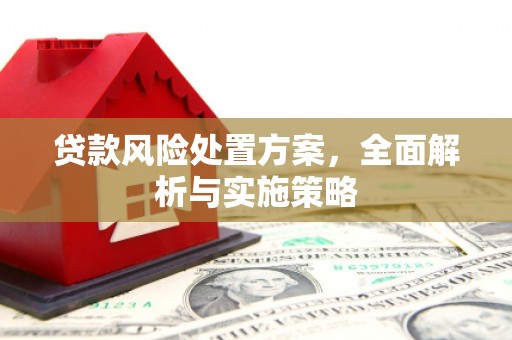 永宁贷款风险处置方案，全面解析与实施策略