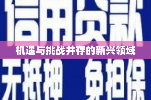 永宁机遇与挑战并存的新兴领域