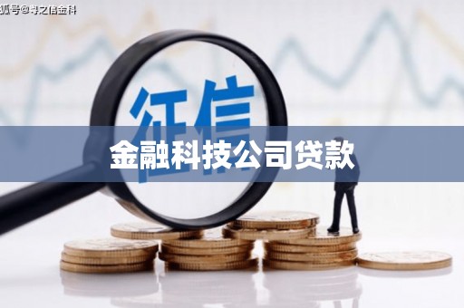 永宁金融科技公司贷款