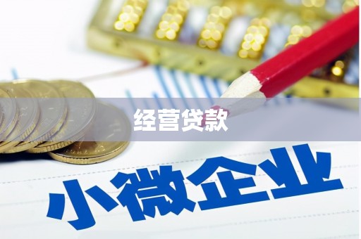 永宁经营贷款