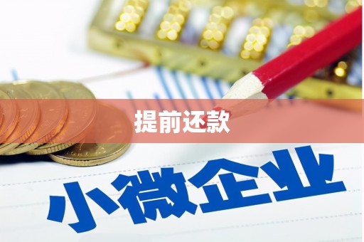 永宁提前还款