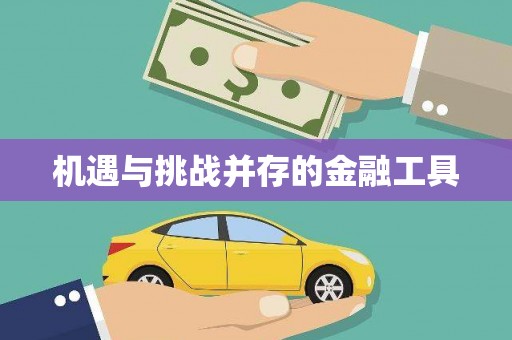 永宁机遇与挑战并存的金融工具