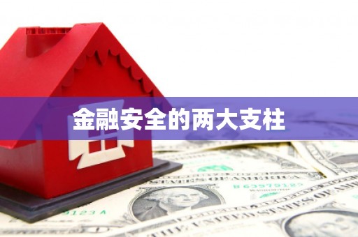 永宁金融安全的两大支柱