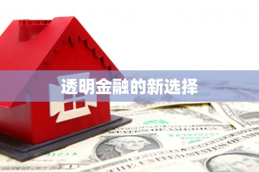 永宁透明金融的新选择