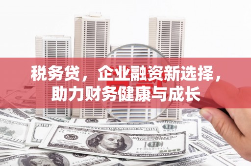 永宁税务贷，企业融资新选择，助力财务健康与成长