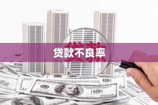 永宁贷款不良率