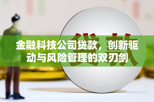 永宁金融科技公司贷款，创新驱动与风险管理的双刃剑