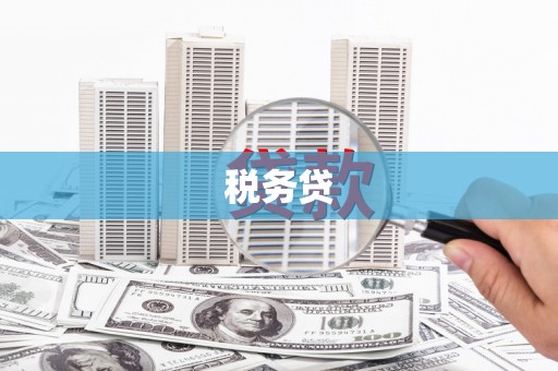 永宁税务贷
